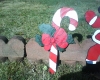 Christmas Candy Canes