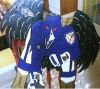Big Raven Bird